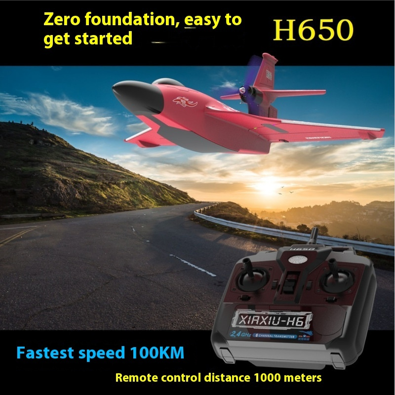 طائرة H650 كبيرة الحجم مقاومة  - مراجعة Rc Wing Glider وسعره